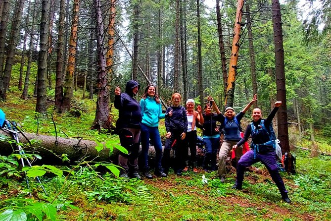 Pestera and Magura Full-Day Private Walking Tour from Brasov - Who This Tour Fits Best