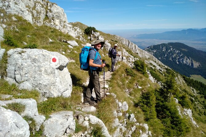 Piatra Craiului National Park Private Hiking Tour from Brasov - Shepherd culture stop in summer, plus villages when conditions allow
