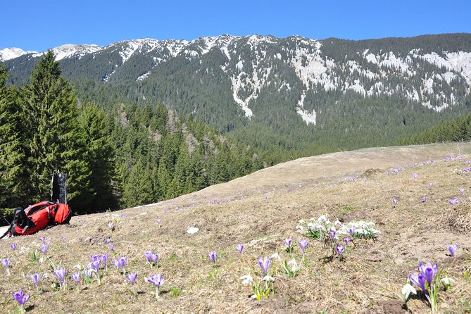 Piatra Craiului National Park Private Hiking Tour from Brasov - Winter magic versus winter risk