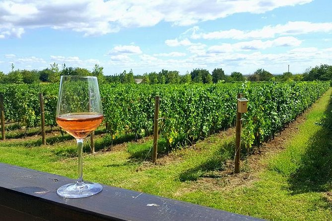 Prahova Valley Wine Tour from Bucharest Small Group - Your guide, Dan or Alina style, makes the difference