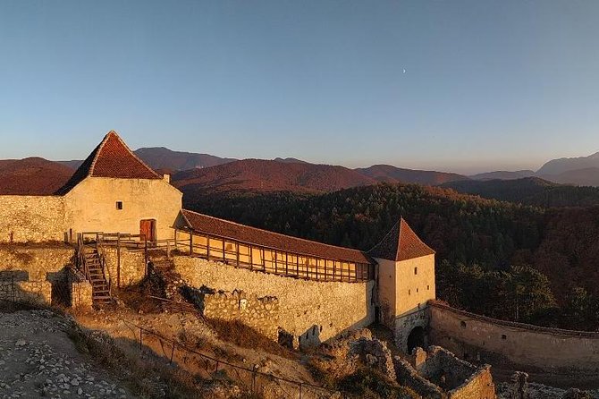 Premium Private 3-Day Best of Transylvania Tour Bucharest Hotel Pick Up/Drop Off - Day 3: bears in the forest and the quiet island of Snagov