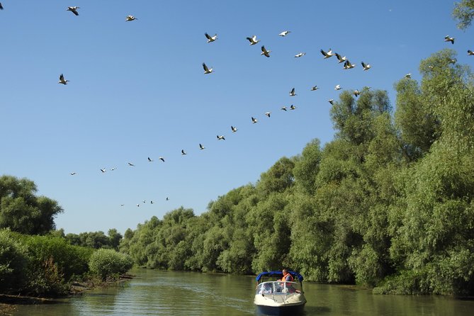 PRIVATE 8h tour: Mila23 and SULINA - the end of the Danube - Cruising the Delta channels: shade, sun, and bird-spotting time