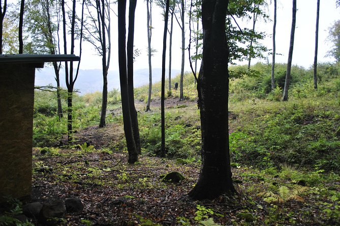 Private Brown Bear Watching Experience near Odorheiu Secuiesc - The Carpathian brown bear hide near Cristuru Secuiesc