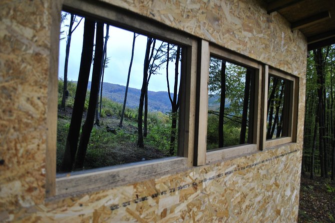 Private Brown Bear Watching Experience near Odorheiu Secuiesc - What 3 hours in the hide is really like