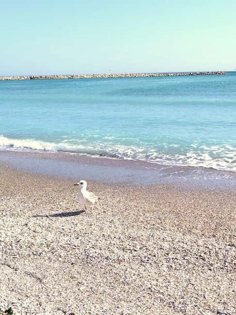 Private Bucharest Tour: Discover Constanța & Black Sea Coast - Value Check: Is $155 Worth It for a Private 8-Hour Day?