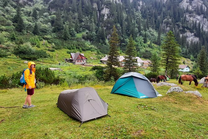 Private day hike from Brasov to Malaiesti Cottage - Key highlights to know before you go