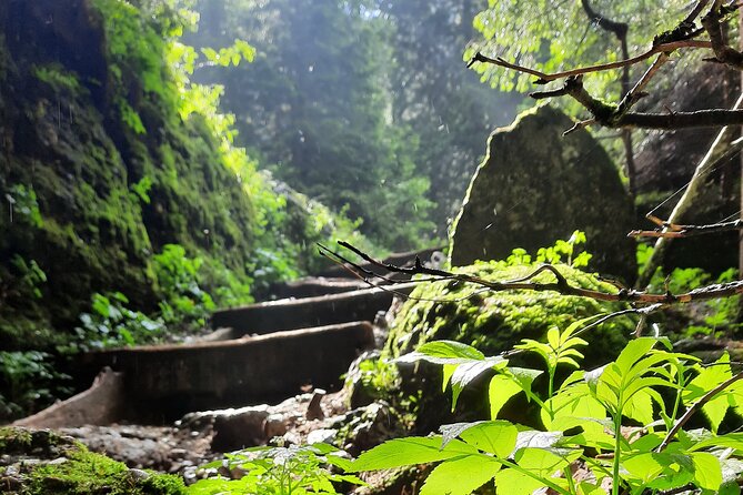 Private day hike from Brasov to Malaiesti Cottage - Pacing tips that make the long day feel manageable