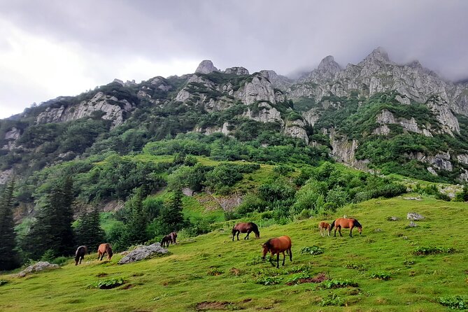 Private day hike from Brasov to Malaiesti Cottage - What to bring: mandatory gear and smart lunch planning