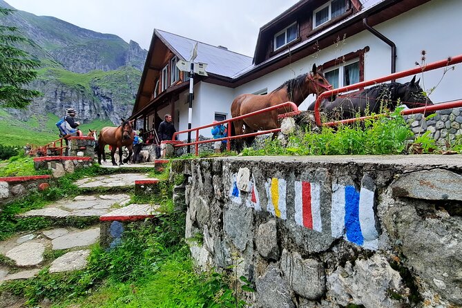 Private day hike from Brasov to Malaiesti Cottage - Mălăiești Cottage and the Mălăiești Valley: what makes this cabin stop special