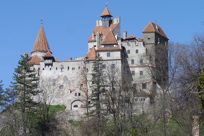 Private Day Tour from Brasov to Rasnov Fortress - From Brasov Pickup to the First Castle, This Day Starts Smooth
