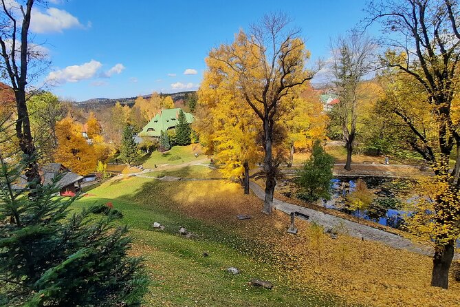 Private Day Tour in Transylvania, Peles and Bran Castles from Brasov - Rasnov Citadel vs Poiana Brasov, your last choice