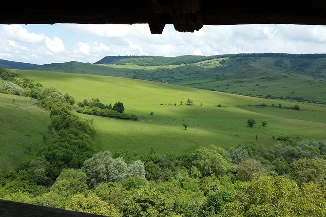 Private Day Tour Sighisoara and Viscri from Brasov with Hotel Pick Up/ Drop Off - Sighisoara medieval town: Clock Tower views and Vlad-linked streets