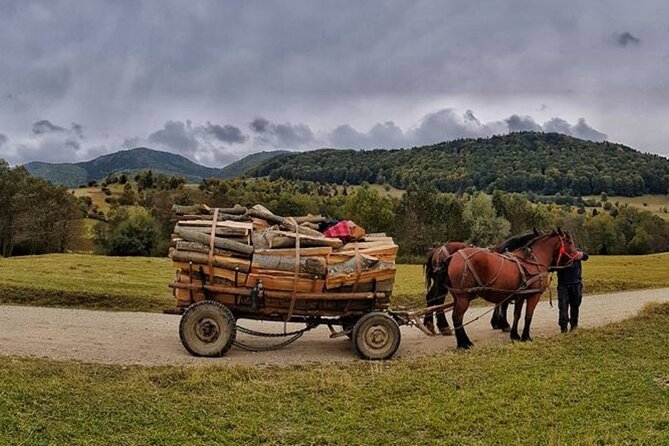 Private Day Tour to Historical Villages in Sinaia - Price and value: is $178.92 per person worth it?
