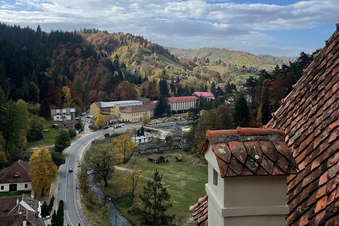 PRIVATE day-trip - Peles Castle, Bran Castle, Brasov - Who This Tour Fits Best (and Who Might Prefer a Different Plan)