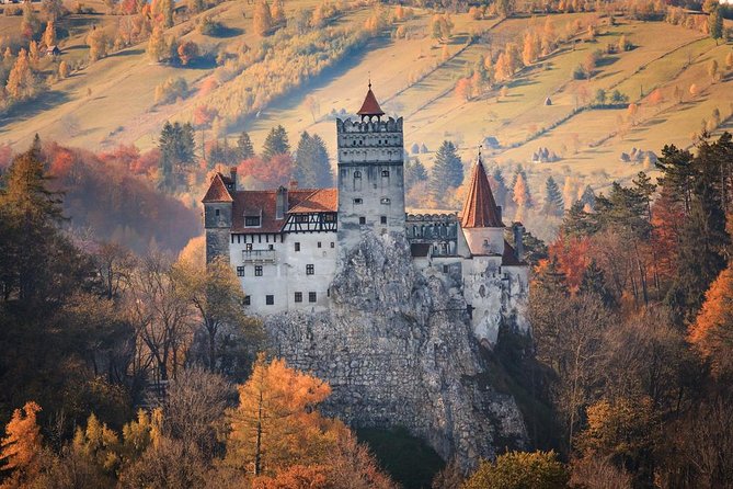 Private Day Trip to Dracula's Castle from Bucharest - Timing and travel reality: a 12-hour day with uneven steps
