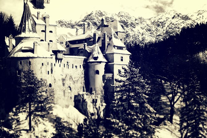 Private Day Trip to Peles and Bran from Bucharest - What the Guide Adds, and Why Dan’s Style Got Noticed
