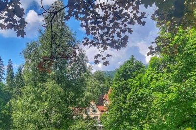 Private Day Trip to Peles Palace, Dracula’s Castle and Brasov