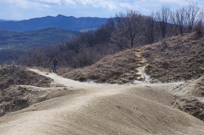 Private Day Trip to Salt Mine and Muddy Volcanoes from Bucharest - Timing and what to bring for mud, salt, and long drives