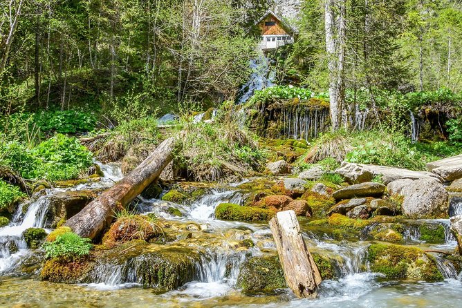 Private Daytrip Hike to Bucegi Mountains - Private day trip rhythm, 9:00 am pickup to return