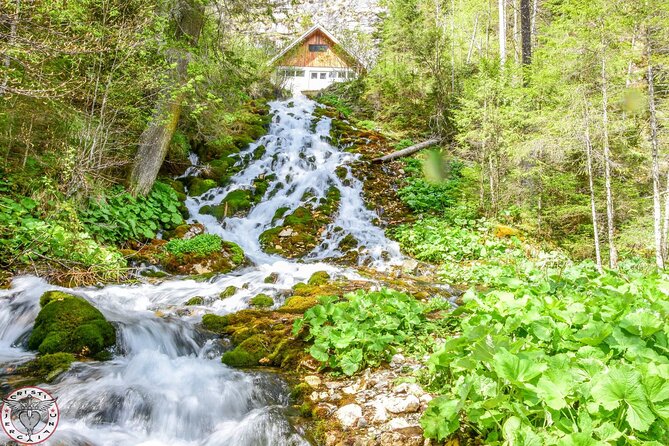 Private Daytrip Hike to Bucegi Mountains - Air-conditioned SUV comfort, and what private flexibility really means