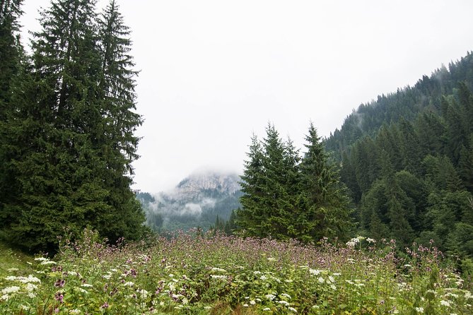 Private Daytrip Hike to Bucegi Mountains - Zănoaga Dreamland, Seven Springs, and Zănoaga Gorge