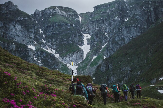 Private Hiking to Bucegi Natural Park from Brasov - Key Highlights You Should Know Before You Go