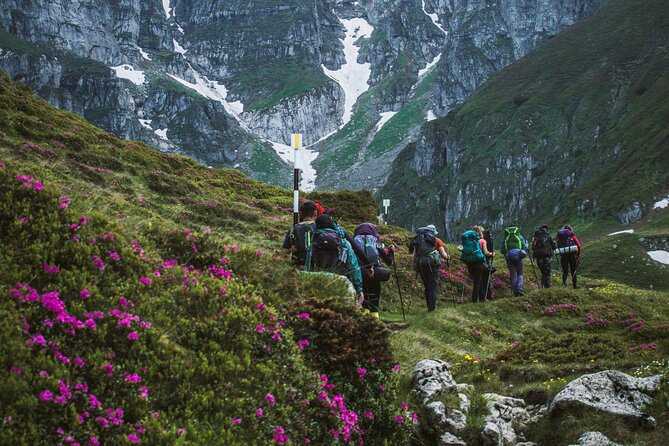Private Hiking to Bucegi Natural Park from Brasov - What You Should Pack (and What to Do With Your Energy)