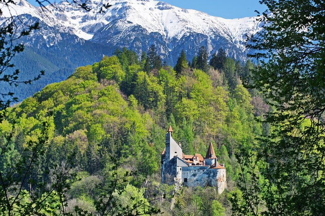 Private Movie Castles at Peles, Cantacuzino and Bran Castle Tour - Key points to know before you go