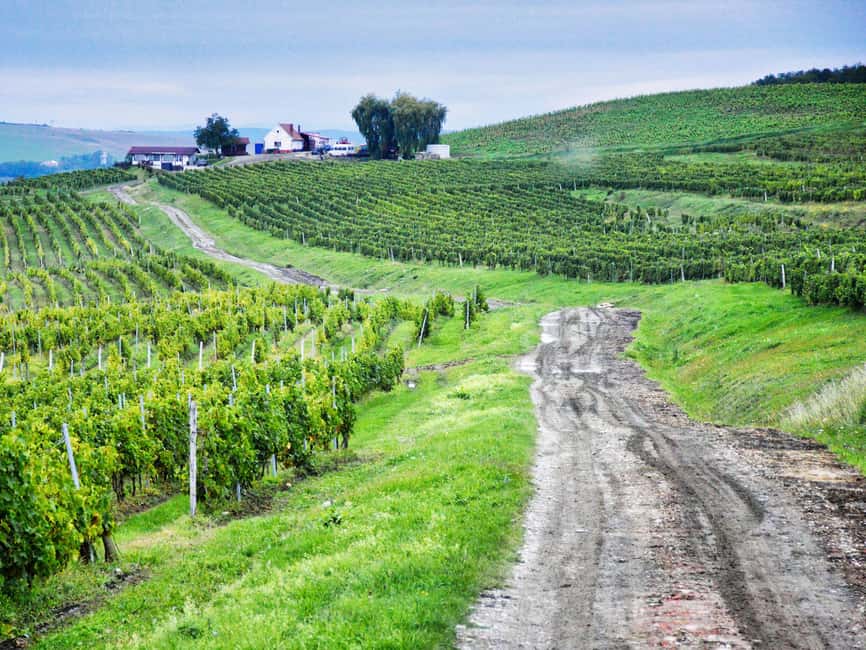 Private Sibiu and wine tasting tour from Cluj - Key things to know before you go