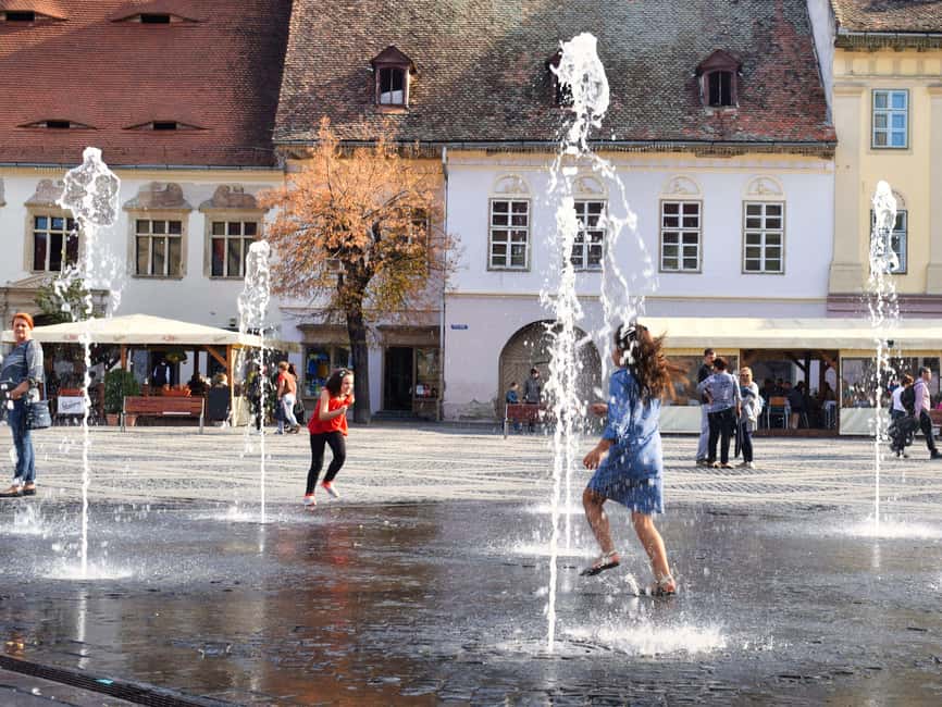 Private Sibiu and wine tasting tour from Cluj - Private Guide and Driver: Why the Pace Feels Right