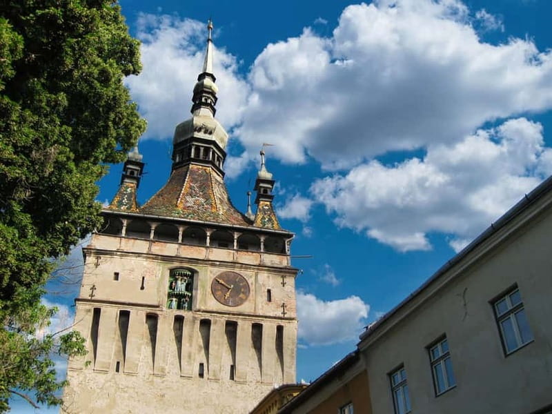 Private Sighisoara and wine tasting tour from Cluj - Key Highlights You Can Plan Around