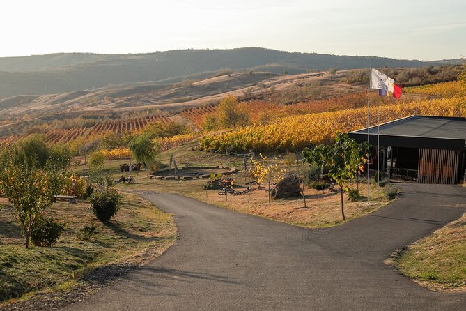 Private Tasting Expedition Along Romania’s Most Famous Wine Route - Key points that make this wine route tasting worth your time