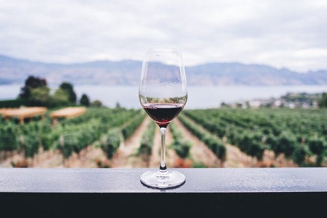 Private Tasting Expedition Along Romania’s Most Famous Wine Route - Two exclusive tastings at different cellars, and why that comparison is the point
