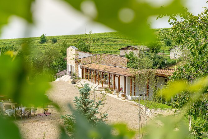 Private Tasting Expedition Along Romania’s Most Famous Wine Route - Who this tour suits best, and who might want a different style