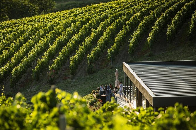 Private Tasting Expedition Along Romania’s Most Famous Wine Route - The 9:00 am Bucharest start and how pickup shapes the whole day