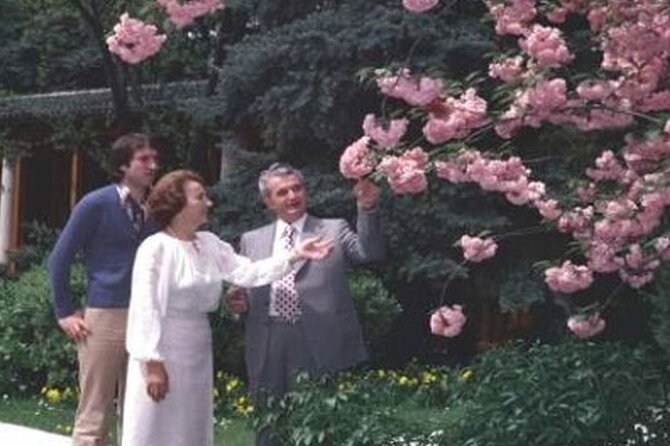 Private Tour -The Last Day of Nicolae Ceaușescu in a Romanian Car - Car logistics that matter: being a passenger, not a driver