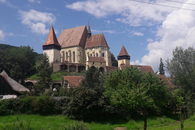 Private Tour : Transylvania from Bucharest 3 Days - Day 3: Libearty Bear Sanctuary, Rasnov Citadel views, and Snagov’s monastery mystery