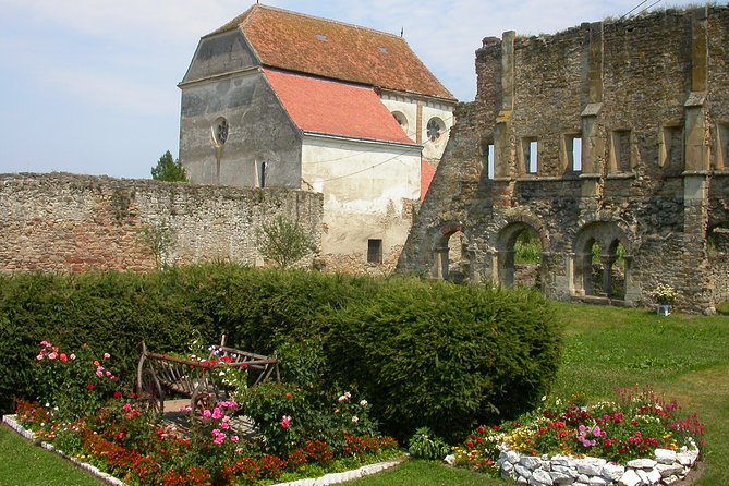 Private Transfagarasan&Balea Lake - Carta Monastery ruins near Cârța: Gothic Cistercian details you can actually spot