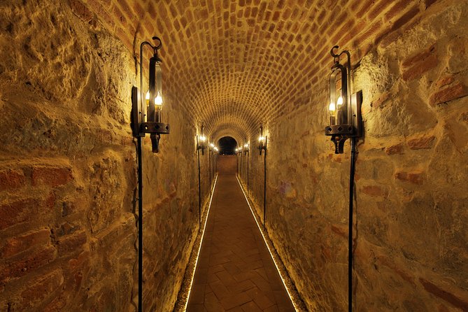 Private Walking Tour of Alba Iulia Citadel with Wine Tasting - Why the cellar tour matters, not just the drinking