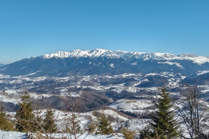 Rambling in Transylvania - A Village-and-Mountains Day That Actually Feels Personal