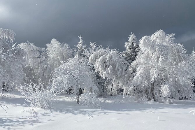 Rambling in Transylvania - Getting to Sirnea: The 1-Hour Transfer That Sets the Mood