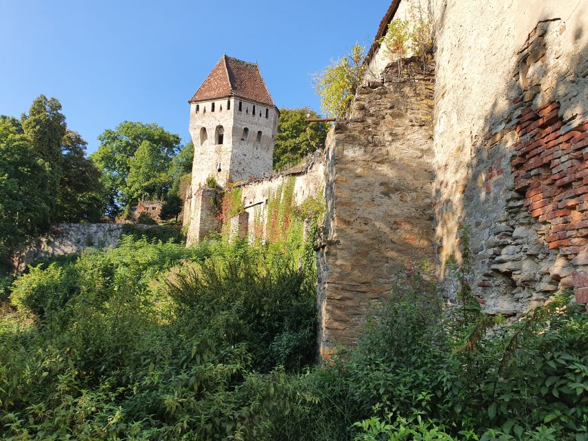 Real Dracula Princely Court and Real Dracula's Fortress - Poienari Castle and the Dracula footsteps: plan for the 1480 stairs