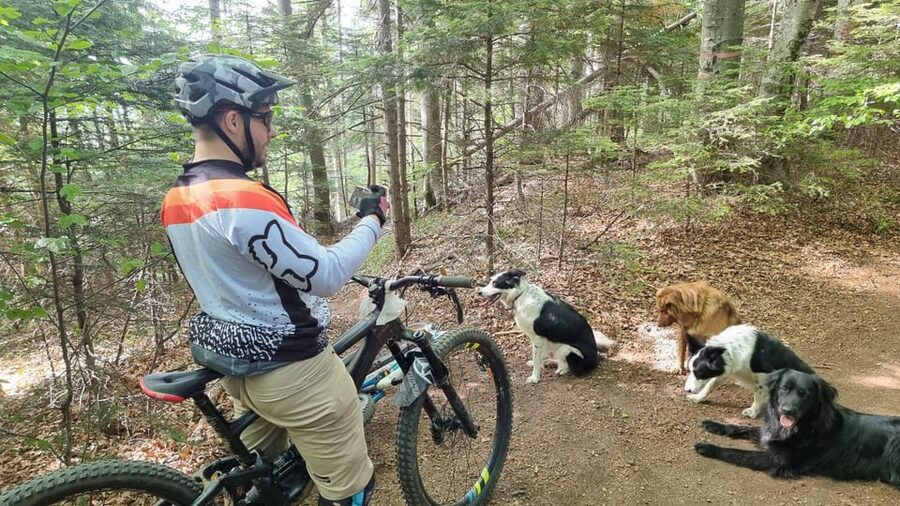 Ride Brașov’s Wild Trails with Daisy & Taste Local Life - Poiana Brașov: the midpoint that turns effort into a real break
