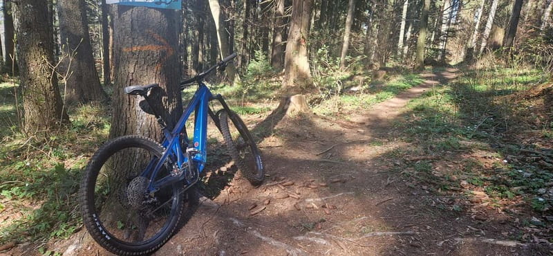 Ride Brașov’s Wild Trails with Daisy & Taste Local Life - The rhythm back in Brasov, plus an extra hour to enjoy the city edges