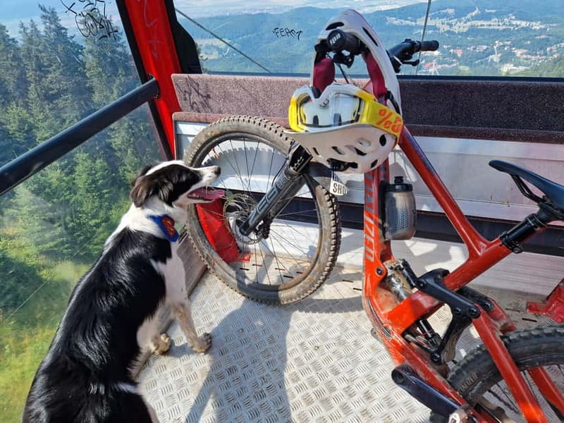 Ride Brașov’s Wild Trails with Daisy & Taste Local Life - Bike-ready at the start, and what the first ride moment feels like