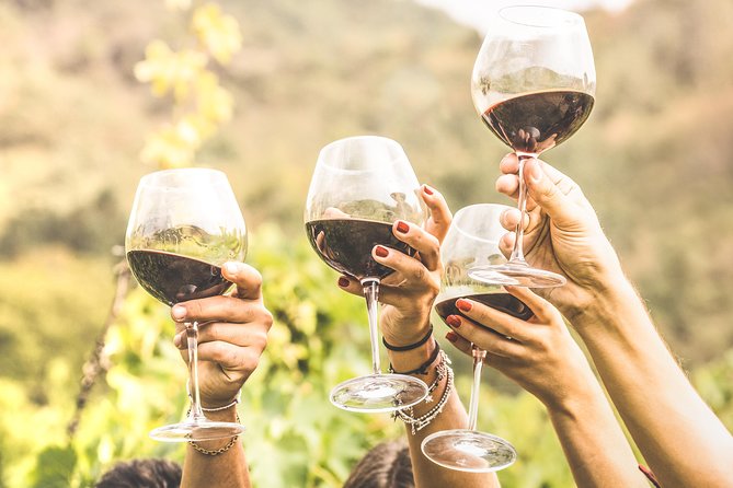 Romanian Wine Tasting - Key highlights to look for