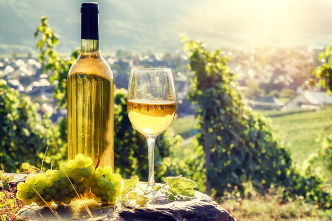Romanian Wine Tasting - Stop 1: LacertA Winery and the Production-Process Lesson