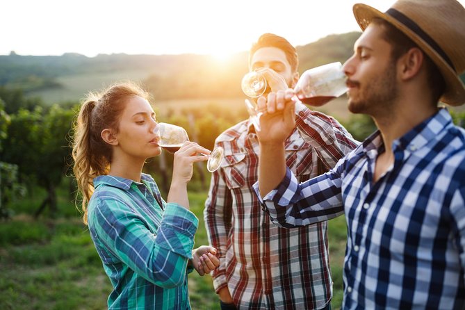 Romanian Wine Tasting - From Bucharest Pickup to Winery Country, Here’s the Rhythm