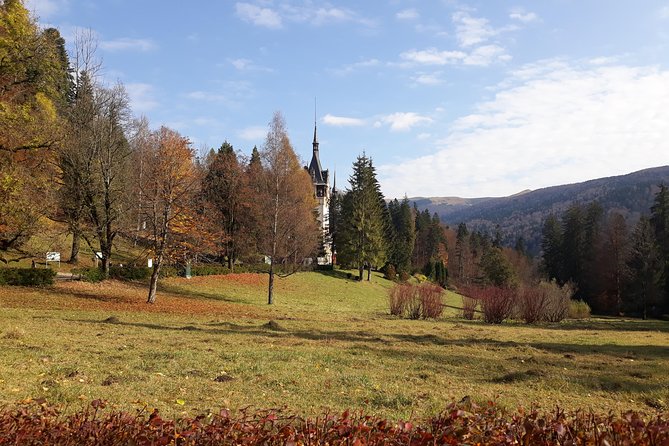 Royal Delights - Sinaia with Peles Palace and Gardens Day Trip from Bucharest - The Drive There and Back, Sunflowers and Countryside Views