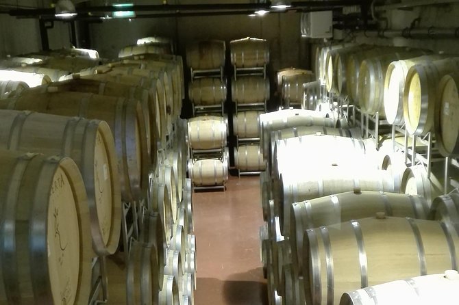 Salt Mine & Mud Volcanoes - LacertA Winery: a private tasting stop in Romania’s wine country